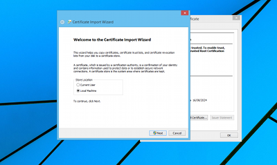 Certificate install IE 2